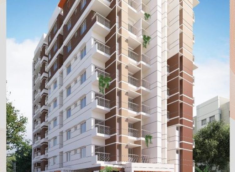 Main-Picture-3-557x785