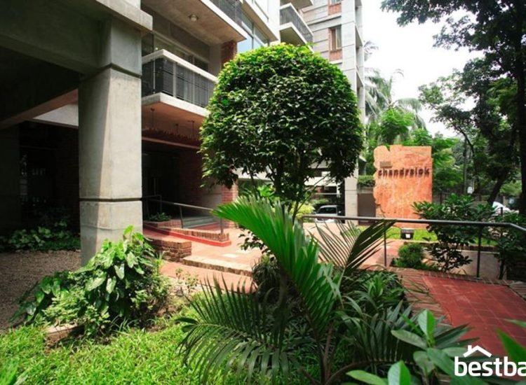 WhatsApp Image 2023-01-09 at 1.32.54 PM (1)