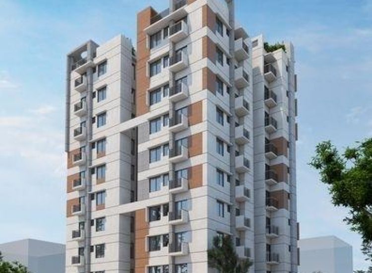 fitted-nkEhC7Y_F-transformed