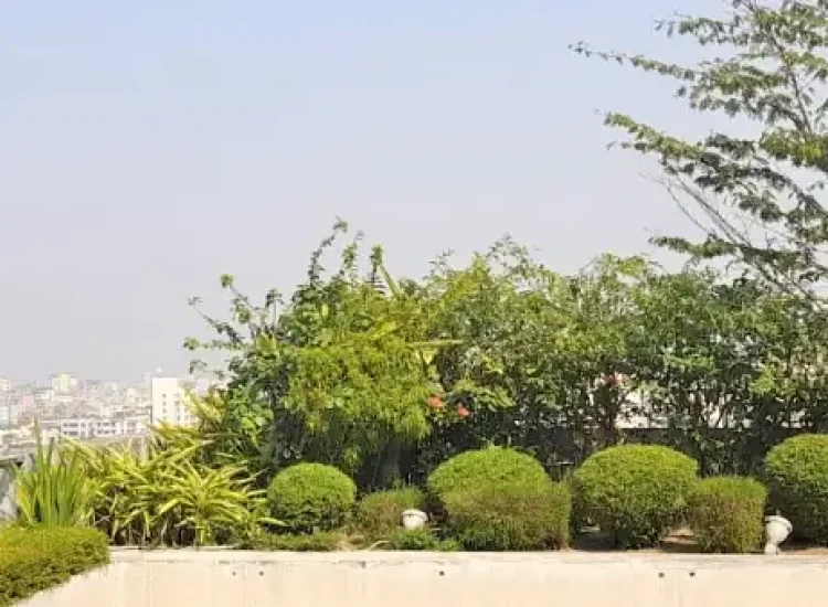 uu6